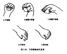七彩虹儿童康复精细运动